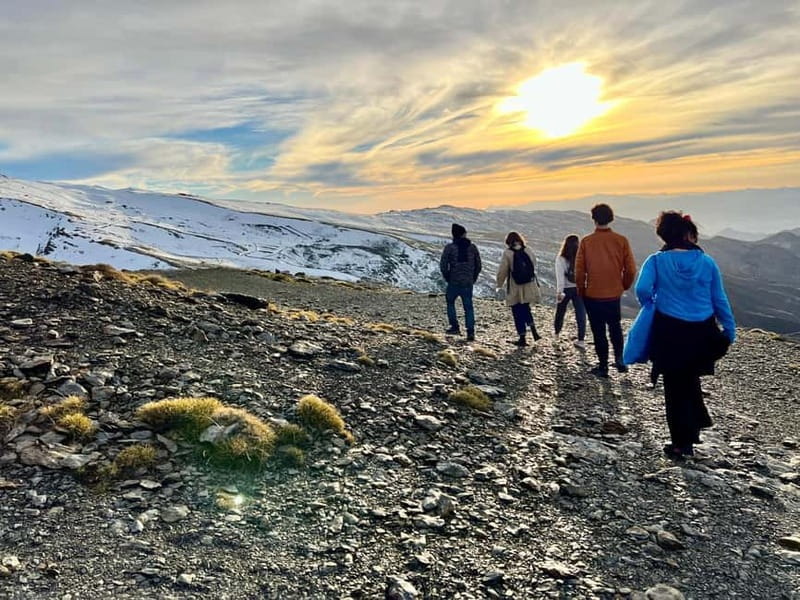 Granada: Sierra Nevada Safari Tour to 2500 m with a Drink - Free time for food, walking, and views