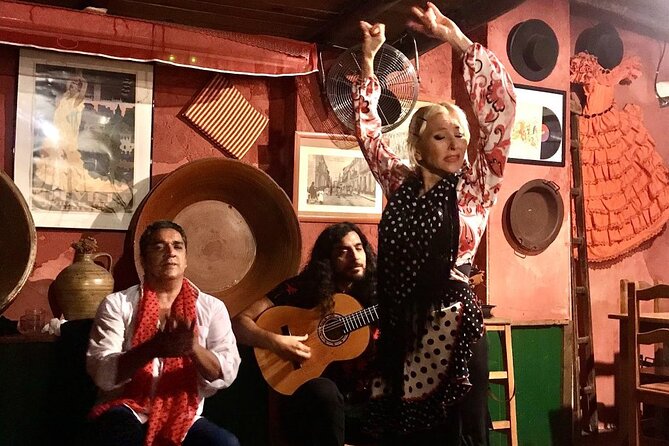 Granada Tapas Trail & Gypsy Flamenco Show - What the $213.26 Price Really Buys