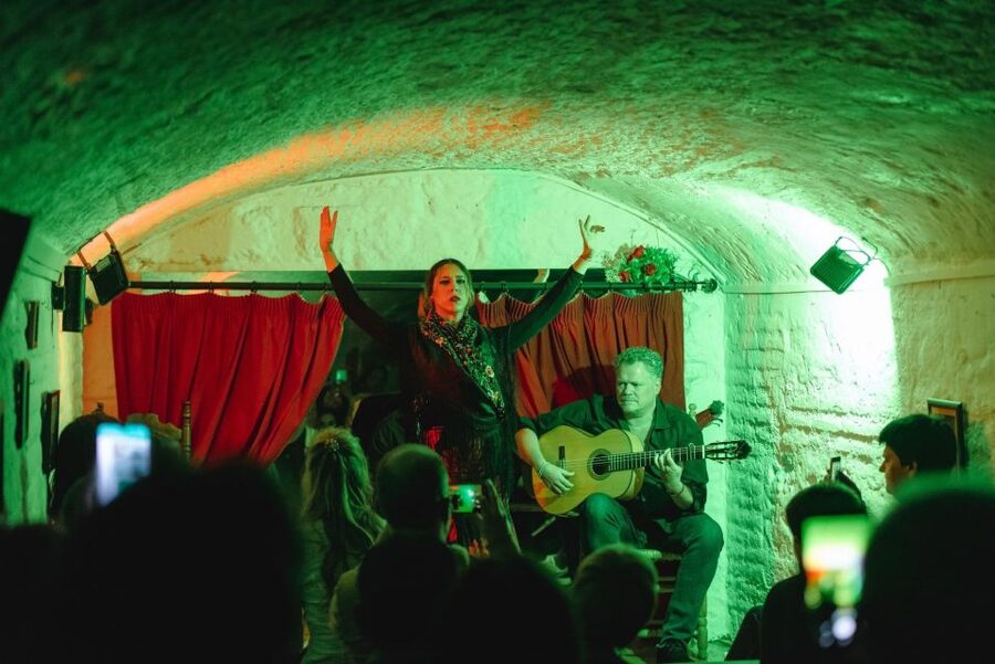 Granada: Traditional Flamenco Show in a Cave Entry Ticket - Key points to know before you book