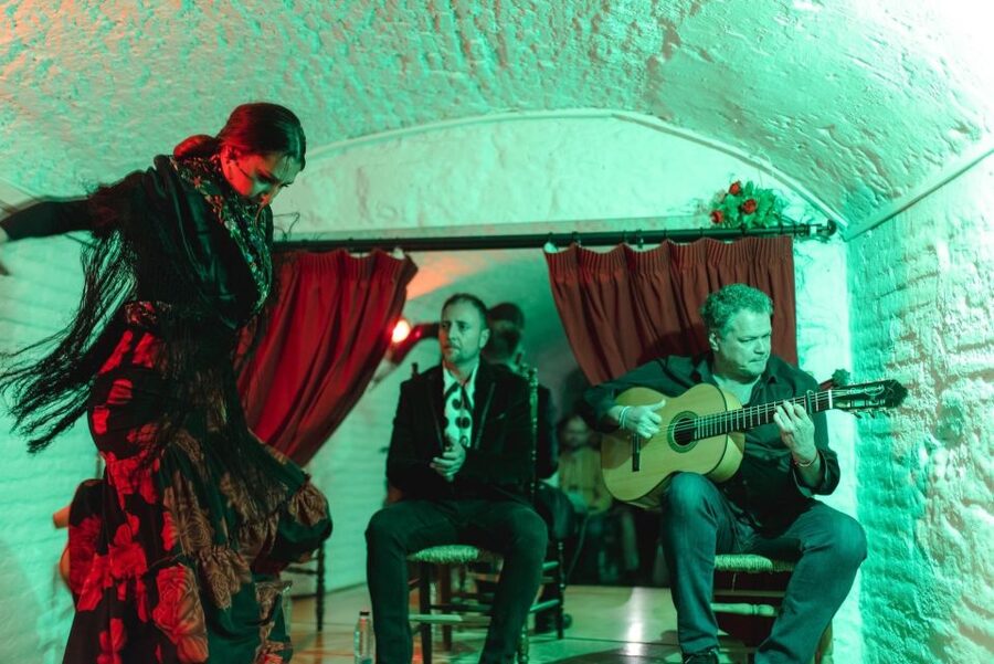 Granada: Traditional Flamenco Show in a Cave Entry Ticket - A close look at the performers