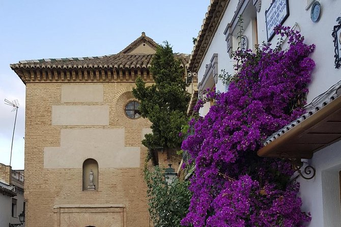 Granada Walking Tour: Albaicin and Sacromonte Quarters - What $29.92 Buys You