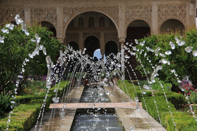 Guided tour of Alhambra and Generalife with Nasrid Palaces - Pace, group size, and guide style