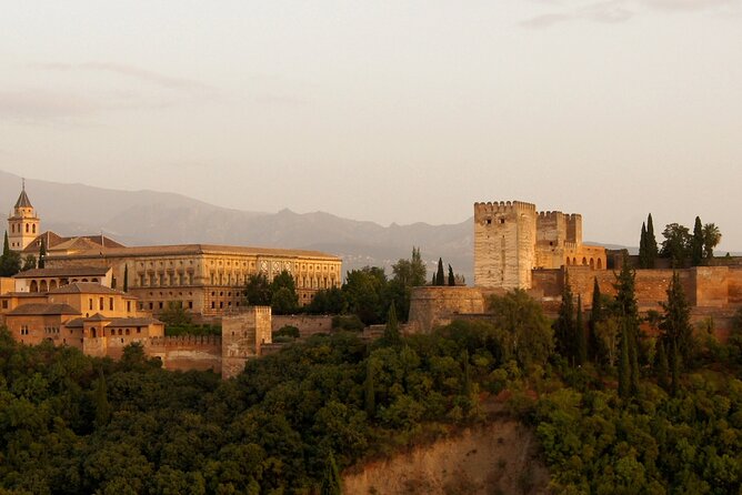 Guided tour of Alhambra and Generalife with Nasrid Palaces - Price, timing, and practical value