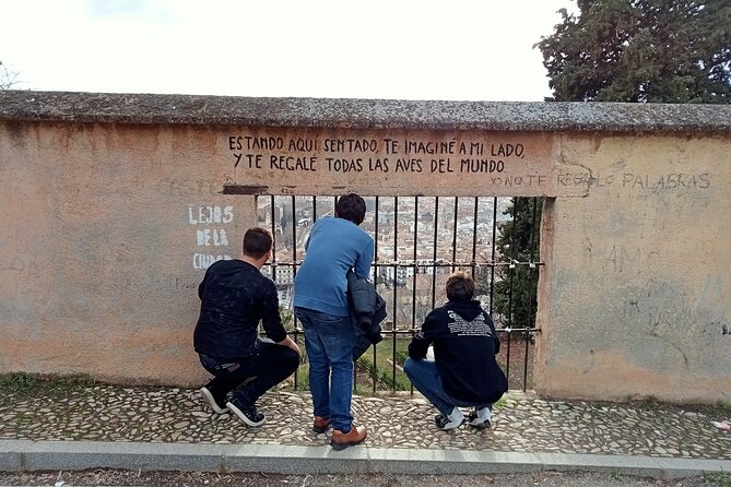 Guided Walking Tour with Panoramic Views and Terraces of Granada - Mirador de Los Carvajales and the first city panorama