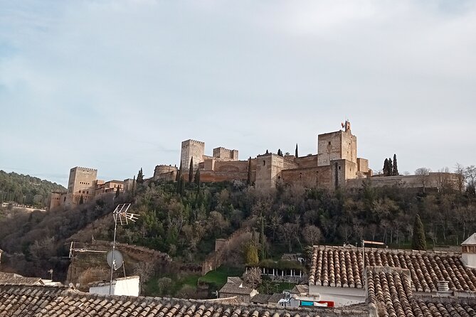Guided Walking Tour with Panoramic Views and Terraces of Granada - Cathedral views from a hotel