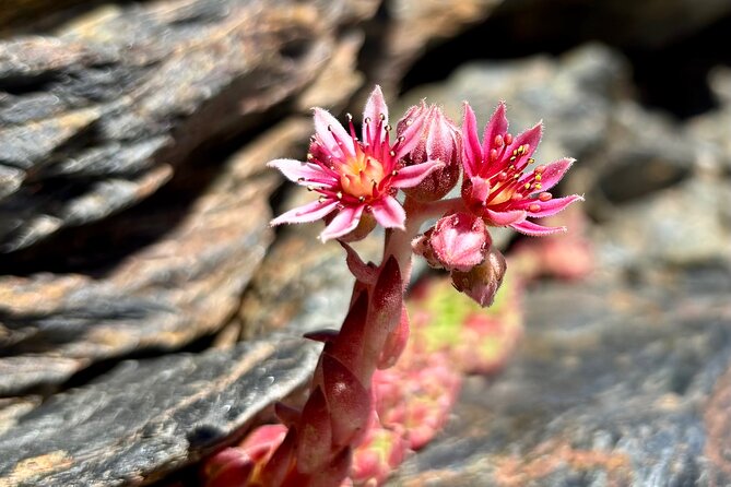 Hiking experience in the High Sierra Nevada National Park - The final climb above 3,000 meters