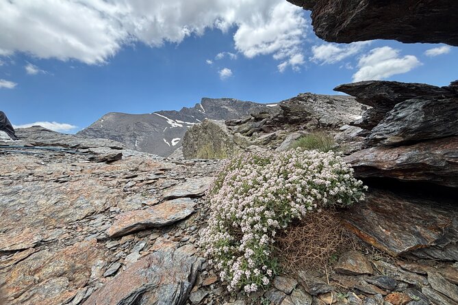 Hiking experience in the High Sierra Nevada National Park - Fitness, altitude, and the day’s effort