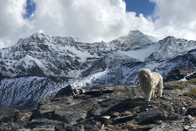 Hiking experience in the High Sierra Nevada National Park - Posiciones del Veleta and the Spanish Civil War ruins