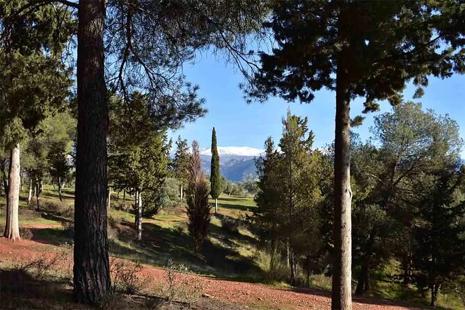 Hiking in the natural park on the outskirts of the Alhambra - Why this is one of Granada’s best city walks