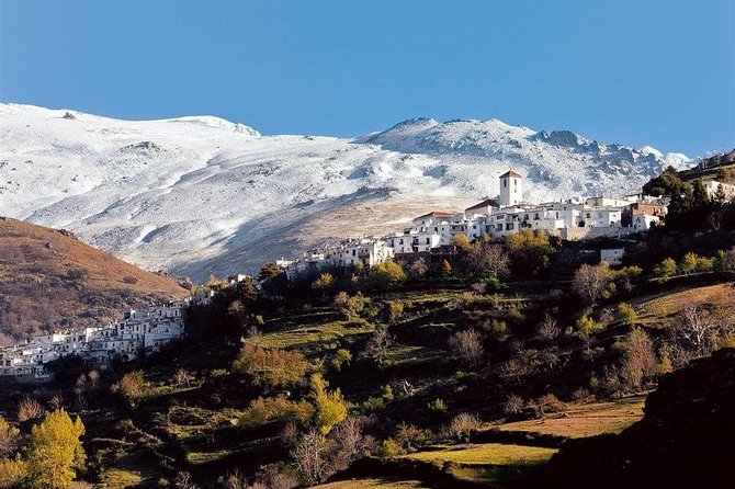 Las Alpujarras Full-Day Tour with Optional Lunch from Granada - Capileira and lunch above the Poqueira Gorge