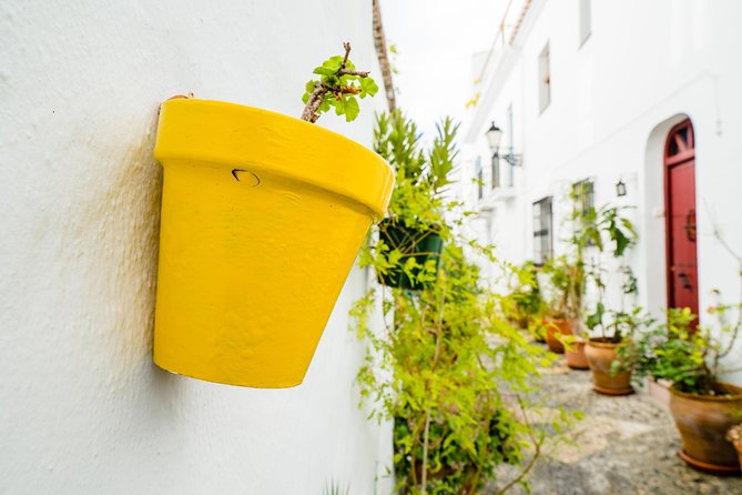 Nerja & Frigiliana Day Trip w/ Skip-Line from Granada (Max. 8) - Frigiliana, a white village built for photographs