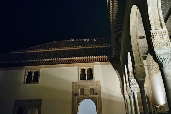 Night Tour of Alhambra and the Nasrid Palaces - Entering the Mexuar, Comares, and Palace of Lions