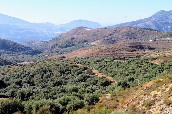 Premium Scenic Daytrip to Alpujarra Villages from Granada (Max 8) - Capileira, the high point of the day