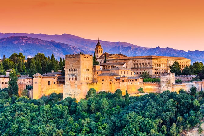 Private 3-hour Alhambra tour with tickets - The Nasrid Palaces reward a careful guide