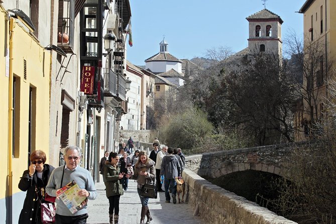 Private Alhambra palace tour and Granada from Motril cruise port - Free time in Granada after the palace