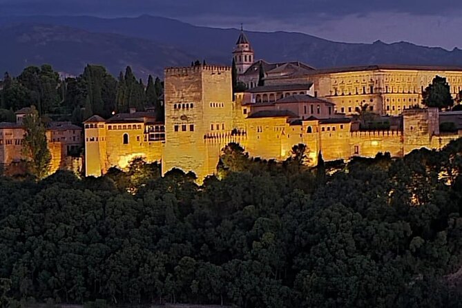Private Night Tour of the Alhambra in Granada (includes tickets) - The Nasrid Palaces at night