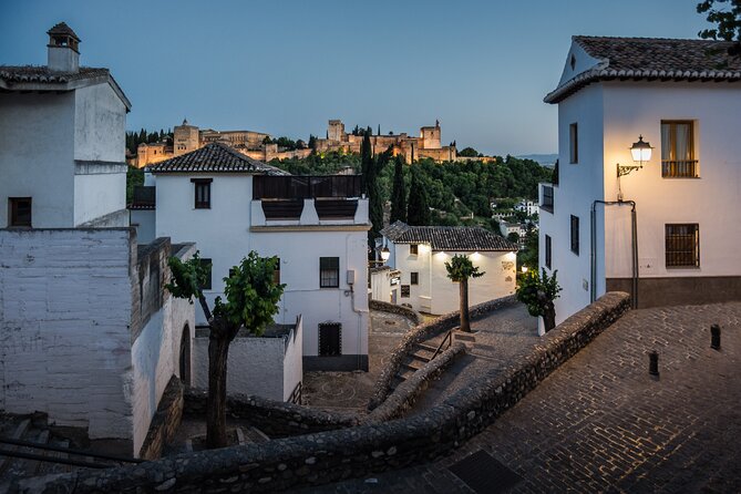 Private tour: 4 cultures, Granada in depth - Sacromonte and the cave homes