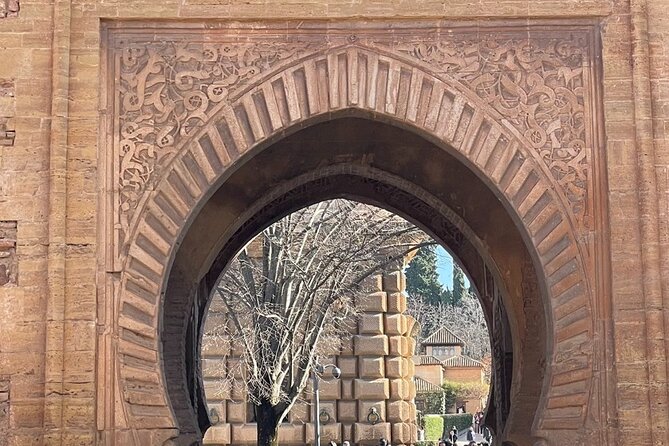 Private Tour of the Alhambra of Granada - What makes Julián a strong guide
