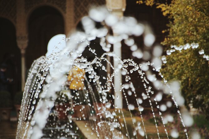 Private Tour of the Alhambra to travel back in time. NO TICKETS - Forty-five minutes in the Generalife gardens