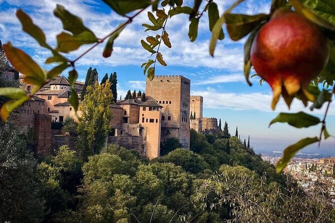 Private Tour to The Alhambra and Generalife from Motril port - What the $497.77 Price Buys You