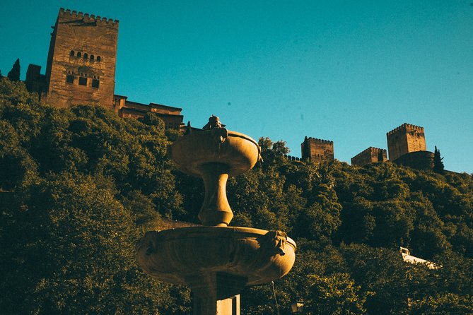 Private Tour to The Alhambra with Nasrid Palaces in Granada - Is $169.38 per person a fair price?