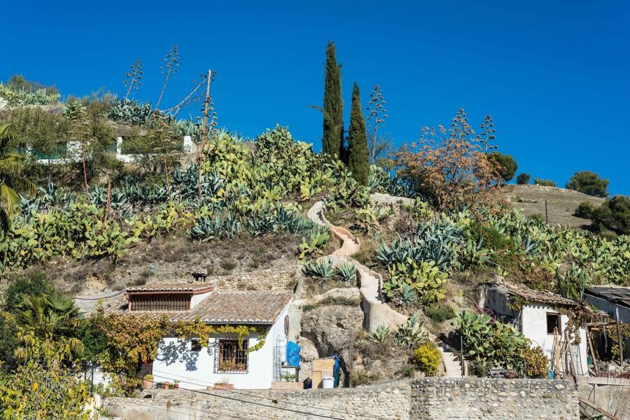 Sacromonte Caves Museum Admission Ticket - Sacromonte, flamenco, and everyday work