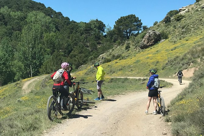 Sierra Nevada Ebike Tour Small Group - Guides who keep the group moving