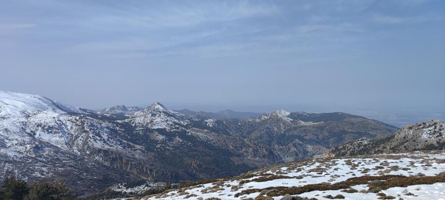 Sierra Nevada Small Group BIKE Tour - Key points before you book