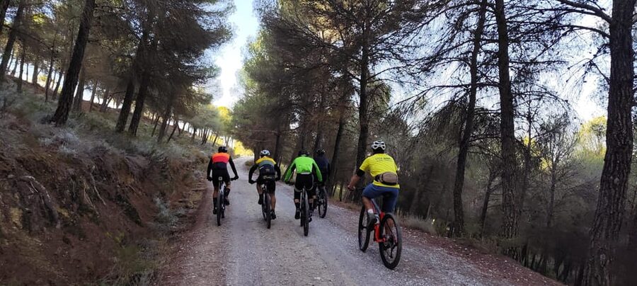 Sierra Nevada Small Group BIKE Tour - What is included for the $119 price