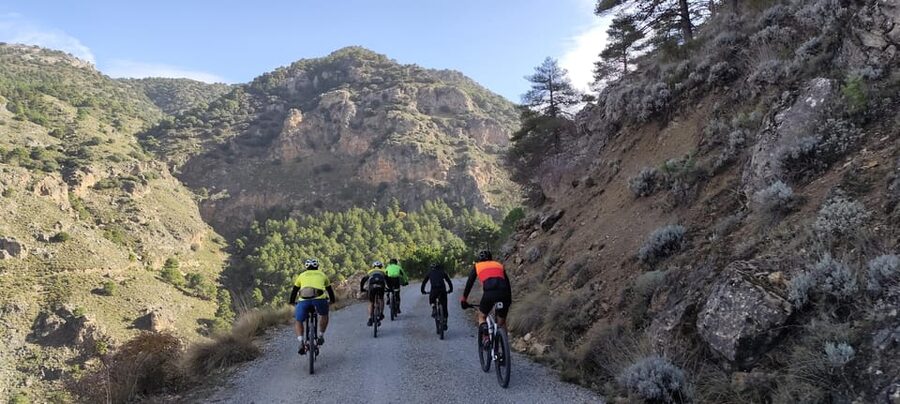 Sierra Nevada Small Group BIKE Tour - What the experience feels like beyond the numbers