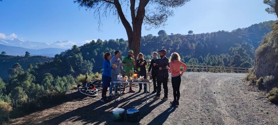 Sierra Nevada Small Group E-Bike Tour - Guide quality and safety