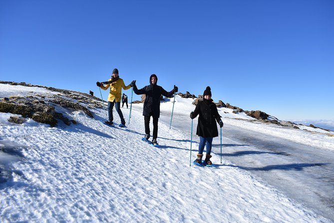 Snowshoe hiking in Sierra Nevada (Granada) - Views toward Pico del Veleta reward the uphill work