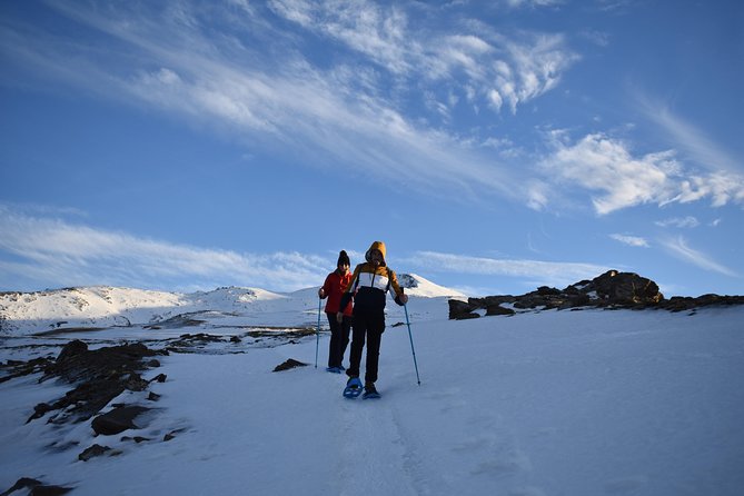 Snowshoe hiking in Sierra Nevada (Granada) - Is $62.65 a fair price?