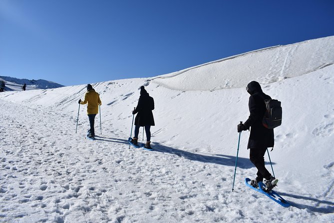 Snowshoe hiking in Sierra Nevada (Granada) - Sierra Nevada National Park is the main event