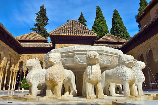 Tickets included: Alhambra Tour (Gardens, Alcazaba, Generalife) - Bags, children, and day-of-visit details