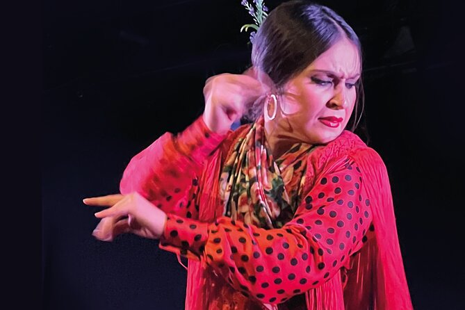 Traditional Flamenco Show at Tablao Casa Ana - Who Should Book Casa Ana
