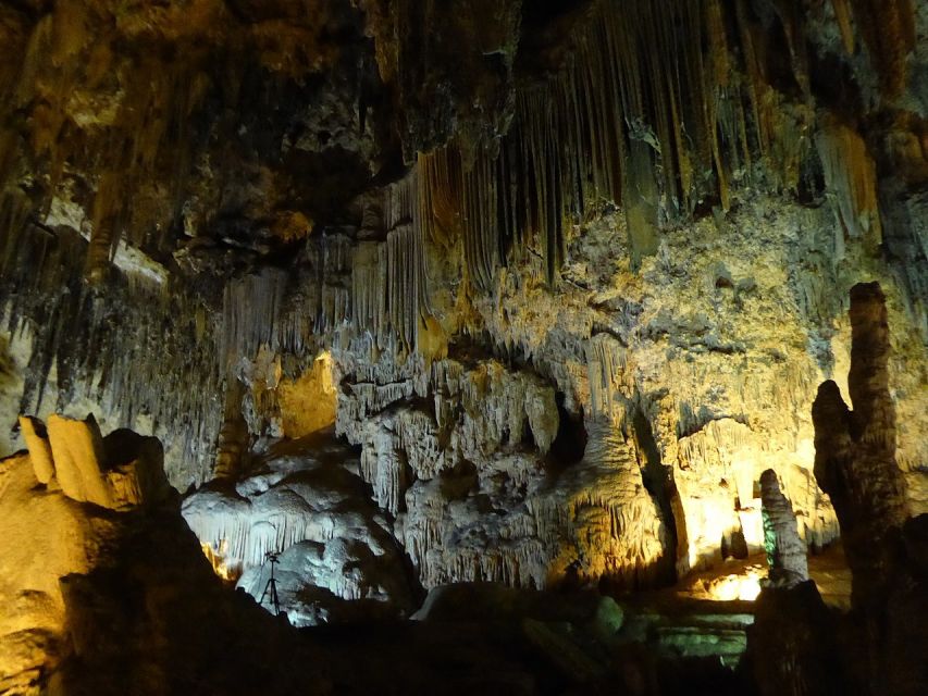 Tropical Coast and Caves of Nerja Day Tour from Granada - Guides, languages and the quality of the day